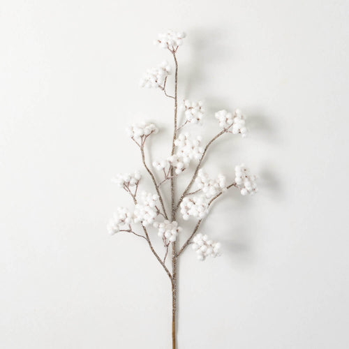 Berry Stem