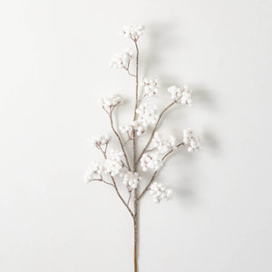 Berry Stem